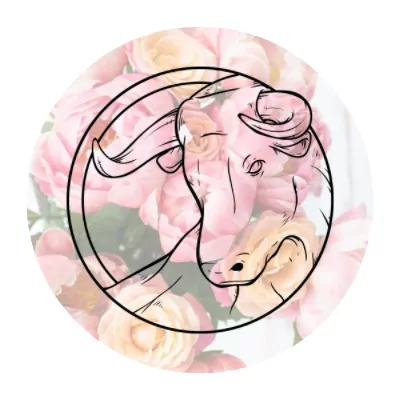 Signe astrologique du taureau - votre horoscope de la semaine