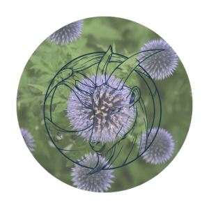 Signe astrologique capricorne - votre horoscope de la semaine
