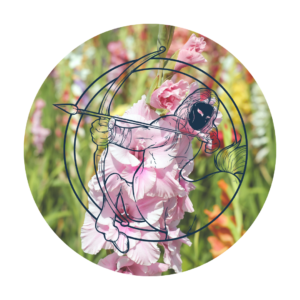 Signe astrologique sagittaire - votre horoscope de la semaine