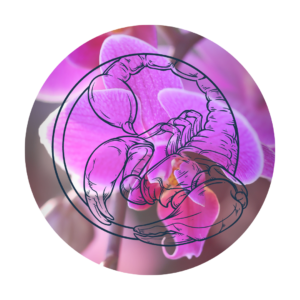 Signe astrologique scorpion - votre horoscope de la semaine