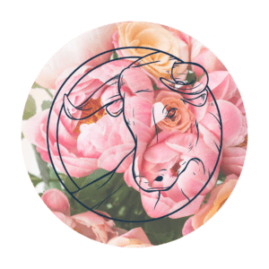 Signe astrologique taureau - votre horoscope de la semaine