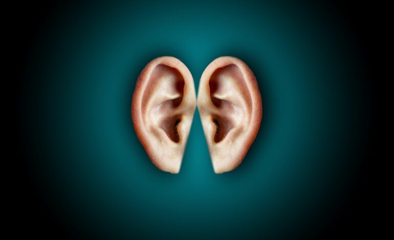 oreille qui siffle signification