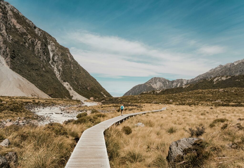 chemin de vie