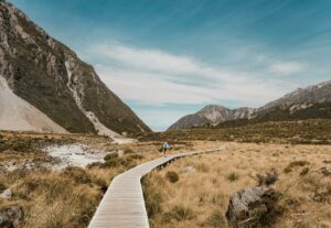 chemin de vie